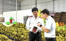 Sầu riêng nhiễm chất cấm: ‘Nếu đất không sạch, trái cũng khó lành’