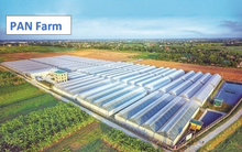 Một công ty con của Pan Group vay nợ ngân hàng tăng gấp 5,7 lần