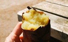 Nhật Bản đánh giá đây là loại "thực phẩm chống ung thư mạnh nhất", người Việt ăn từ ngàn đời nay