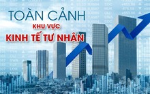 Toàn cảnh khu vực kinh tế tư nhân