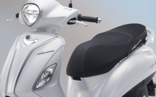 Hai mẫu xe tay ga 'ăn xăng như ngửi' về đại lý Việt: Có mẫu to, đẹp ngang Lead nhưng chỉ 1,6L/100km