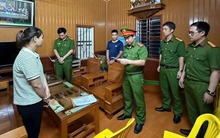 Khởi tố, bắt giam Phó Giám đốc Ngô Vĩnh Hải