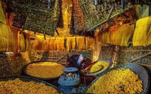 Mỹ vừa chi hơn 5 tỷ USD mua ‘mỏ vàng’ đứng thứ 2 thế giới của Việt Nam: Đã xuất khẩu đến hơn 100 thị trường, Hàn Quốc, Nhật Bản cũng là ‘khách ruột’