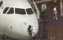 Máy bay gặp mưa đá và va phải chim, hàng trăm hành khách hoảng loạn