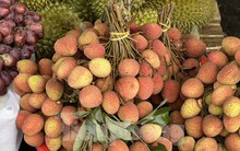 Vải thiều vào vụ, giá rẻ bất ngờ