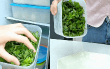 Bí quyết giữ rau thơm tươi lâu: Có nên trữ đông rau mùi (ngò rí)? Vì sao để tủ lạnh lại bị thâm đen?