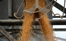 Trung Quốc 'quay lưng' dừng nhập khẩu mặt hàng then chốt của Mỹ: Việt Nam, Nhật Bản bất ngờ hưởng lợi, mua với siêu giá rẻ