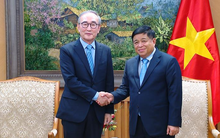 'Ông lớn' hàng đầu Hàn Quốc về viễn thông 'ngỏ ý' xây dựng Trung tâm Phát triển Toàn cầu ngay tại Việt Nam, đề xuất hợp tác với Tập đoàn Viettel