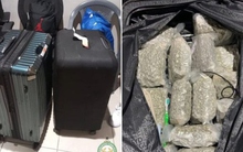 Kiểm tra vali của người phụ nữ, cảnh sát phát hiện thứ trị giá 6 tỷ đồng