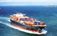 Một cổ phiếu vận tải biển bật tăng trần dù vừa bị HoSE “tuýt còi”