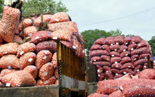 Không phải gạo hay trái cây, Nga bất ngờ tích trữ một loại nông sản giá rẻ quan trọng: Nhập khẩu tăng mạnh 72%, hơn 200 container giao hàng mỗi ngày