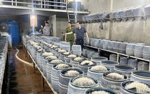 Cận cảnh cơ sở dùng hóa chất độc hại để sản xuất gần 350 tấn giá đỗ bán cho người dân