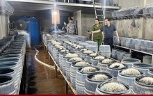 Triệt phá 2 cơ sở sản xuất, bán gần 350 tấn giá đỗ ngâm hóa chất ra thị trường
