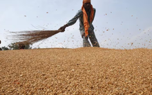 Nóng cuộc đua đưa một loại ‘báu vật’ vào thị trường Trung Quốc: Nga nắm lợi thế giá rẻ hấp dẫn, Úc than khó do sắp dư thừa số lượng lớn