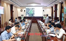 Tập đoàn của "người đàn bà sữa tươi" đề xuất 5 dự án ở tỉnh Bình Phước, muốn tham gia ngành bất động sản, golf