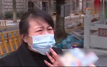 Cho đồng nghiệp mượn nhà miễn phí, sau 15 năm lấy lại, người phụ nữ bị yêu cầu bồi thường, tòa án: Chị phải trả 200 triệu đồng