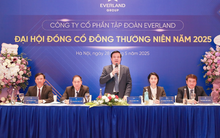 Đại hội cổ đông Everland: Kỳ vọng giai đoạn phát triển mới, đẩy mạnh bán hàng tại các dự án đủ điều kiện