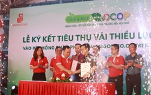Saigon Co.op ký kết tiêu thụ vải thiều Lục Ngạn vào 800 điểm bán