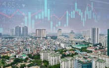 Cổ phiếu bất động sản nổi sóng, Novaland tăng kịch trần “trắng bên bán”, điều gì đang xảy ra?