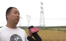 Vay 360 triệu đồng nhưng không trả, người đàn ông bị chủ nợ khởi kiện, tòa án: Anh không cần trả bằng tiền