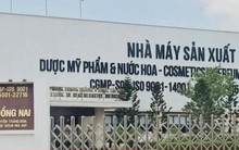 Khởi tố vụ án sản xuất, bán hàng giả liên quan công ty chồng Đoàn Di Băng