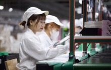 Apple đang âm thầm “đào tạo lại” chuỗi cung ứng tại Việt Nam: Vì sao Việt Nam đang trở thành phòng thí nghiệm kỹ năng toàn cầu của Táo Khuyết?