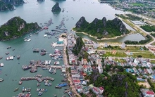 Quảng Ninh báo tin vui