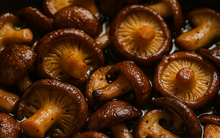 Tôi đã học bác sĩ Nhật ăn 3 món để tăng cường miễn dịch tự nhiên, số ngày bị ốm giảm hẳn 1 nửa chỉ sau 3 tháng