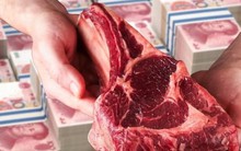 Bỏ tiền tỷ vào app tài chính lừa đảo, nhà đầu tư cay đắng được trả bằng thịt bò