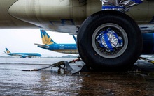 Hàng không triển khai phương án phòng chống thiên tai