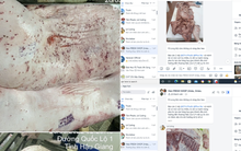 C.P. Việt Nam phản hồi về thông tin thịt heo bệnh lan truyền trên mạng