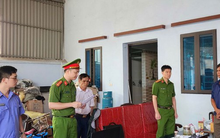 Bắt nguyên chủ tịch xã ở Bắc Giang gây thiệt hại hơn 1 tỷ đồng