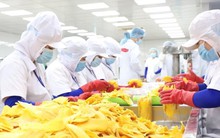 Vật vã trong ‘nắng hạn’ lâu năm, doanh nghiệp Việt vừa gặp được ‘mưa rào'