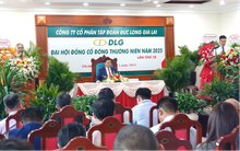 DLG tiếp tục tái cấu trúc toàn diện, đẩy mạnh đầu tư để bứt phá