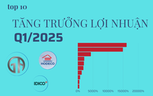 Tăng trưởng lợi nhuận 'khủng' nhất Q1/2025: Đứng đầu là 2 công ty BĐS tăng trên 10.000%, 2 công ty ô tô tăng trên 2.000%