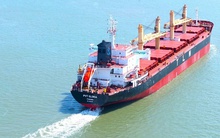 PVTrans sẽ phát hành gần 114 triệu cổ phiếu trả cổ tức