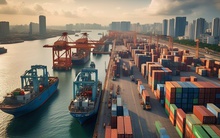 PMI ngành sản xuất của Việt Nam giảm mạnh còn 45,6 điểm trong tháng 4 do thuế đối ứng của Hoa Kỳ, chuyên gia nhận định thế nào?