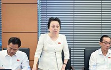 ĐBQH: Mua phải hàng giả, người dân phải được bồi thường