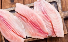 Một loại cá bán đầy chợ Việt Nam, protein cao hơn cá hồi, vừa được nước giàu nhất Nam Mỹ nhập khẩu trở lại