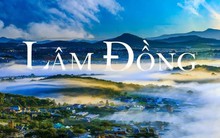 THACO làm việc với Chủ tịch tỉnh Lâm Đồng để tháo gỡ các vướng mắc trong triển khai dự án khách sạn, bauxite và nhà máy nhôm