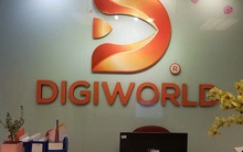 Digiworld sắp chi gần 110 tỷ đồng trả cổ tức năm 2024