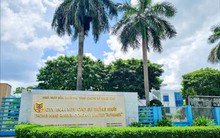 Một công ty cao su báo lãi quý I/2025 tăng 95% nhờ bán chuối