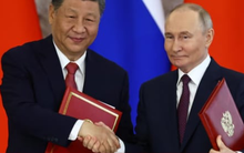 Cuộc hội đàm 7 giờ của Tổng thống Putin và Chủ tịch Tập Cận Bình