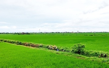 Người dân lưu ý một số điều kiện quan trọng sau đây khi muốn chuyển nhượng đất đai trong năm 2025