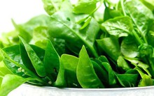 "4 không" khi ăn rau mồng tơi, biết mà tránh kẻo hối hận