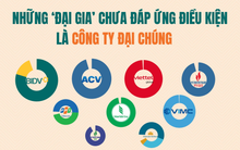 Nhiều doanh nghiệp tỷ đô lớn nhất thị trường đứng trước nguy cơ hủy niêm yết: Chờ 'kim bài' miễn trừ hay lập tức hành động?