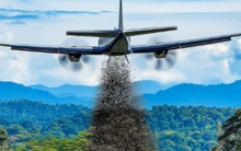 Cứ mỗi tuần, Mỹ lại thả 20 triệu con ruồi ăn thịt xuống Panama: Lý do là gì?