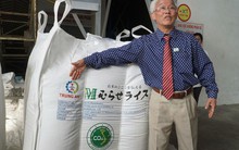 Thời cơ của gạo giảm phát thải