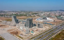 Hải Phòng dừng chuyển đổi mục đích đất ở với hộ gia đình, cá nhân