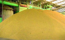 Ngoài sầu riêng, thêm 2 mặt hàng nông sản quan trọng từ Thái Lan sắp thành đối thủ lớn của Việt Nam